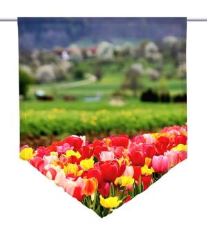 Tulpenfluss, Scheibenhänger spitz